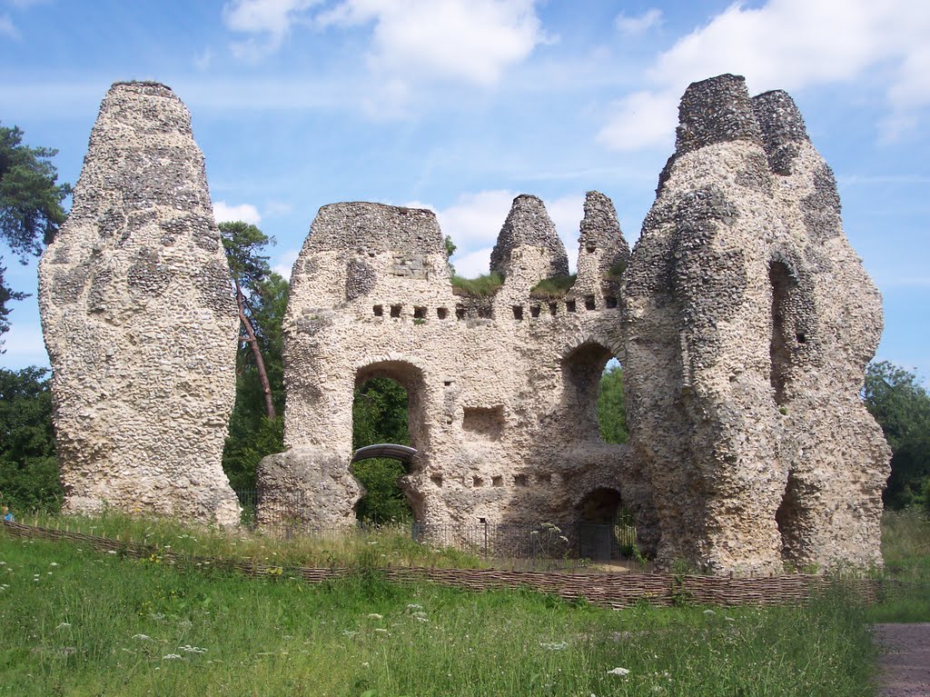 Odiham Castle by Robert'sGoogleEarthP…