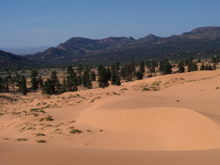 Coral Pink Sand Dunes State Park by briantravelman