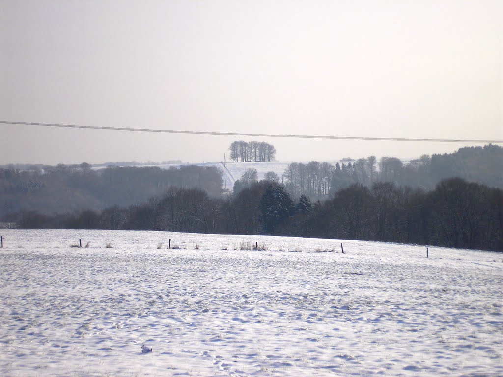 Blick von Huven in Richtung Oberwennerscheid mit Baumgruppe am 26.01.2010 by Armin U. P. (Earth V…