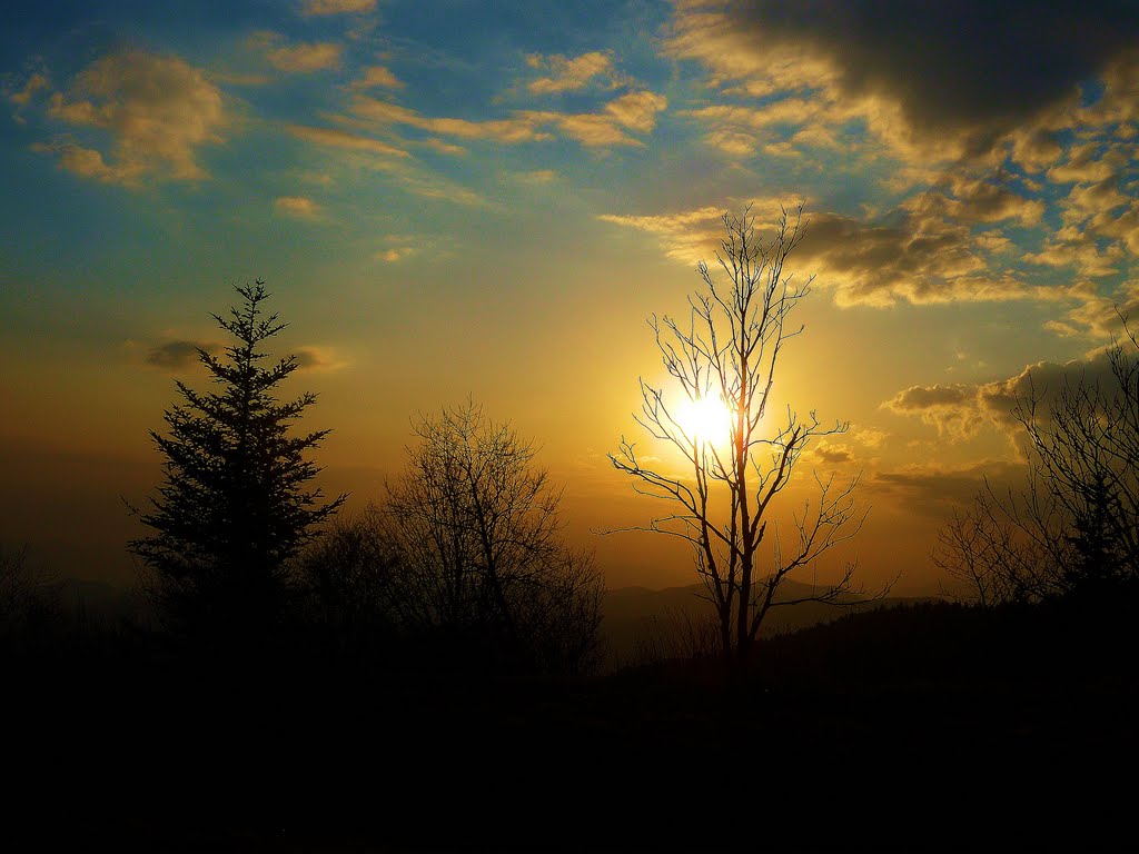 Caney Fork, NC, USA by zdec