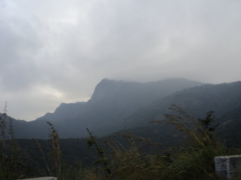 Munnar by Malarvizhi Ramesh