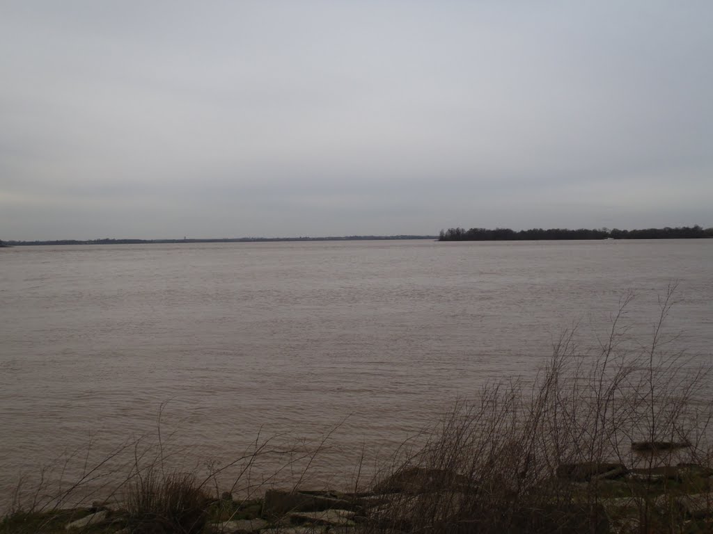 L'Ile Nouvelle remonte le Cours de la Gironde... by katricoin