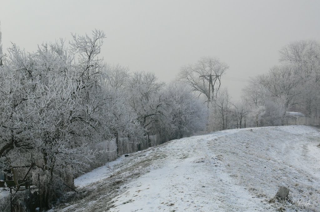 Mróz i mgła by Fotomek