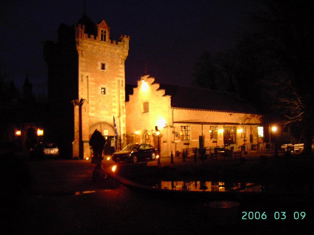 Château de la Motte in Mettekoven by albert einstein