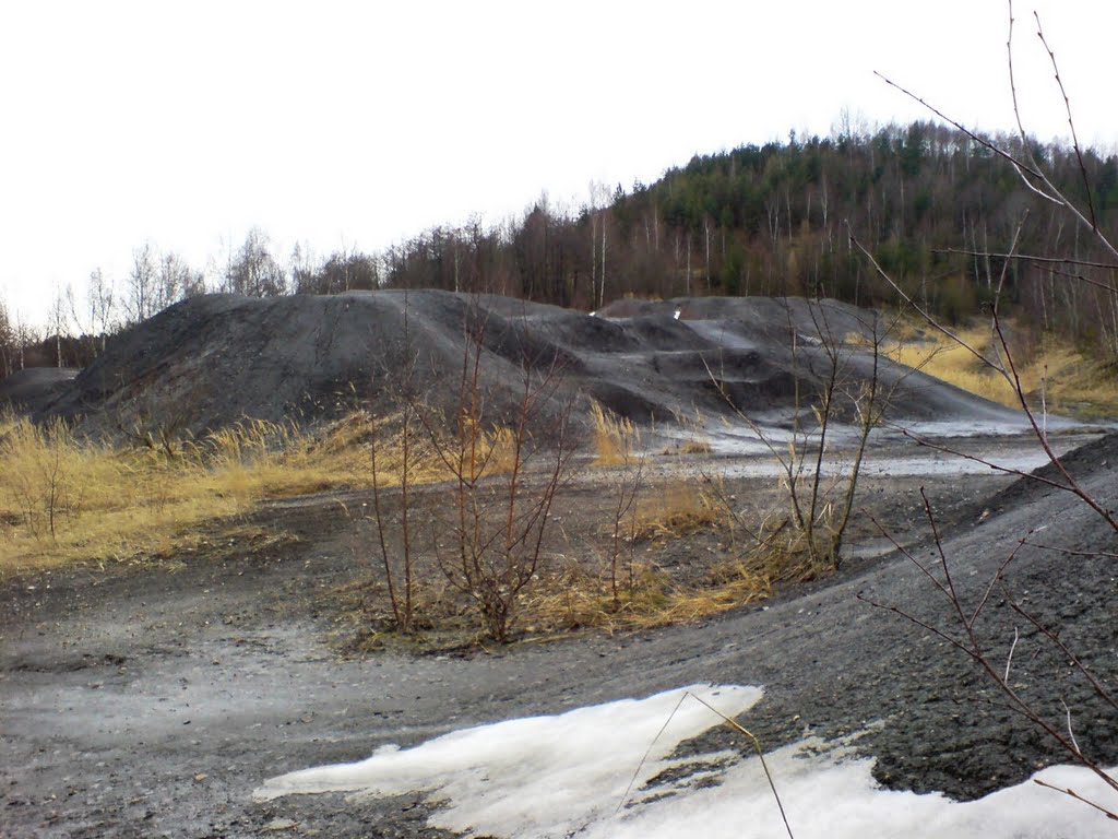 The heaps of bony coal; Prokop, a former mine by ellon5