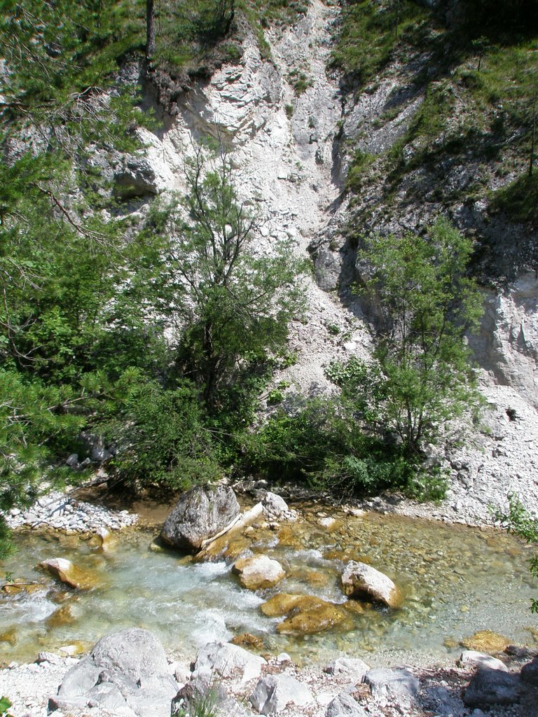 Lebensraum Wasser - Tscheppaschlucht by Lebensraum Wasser