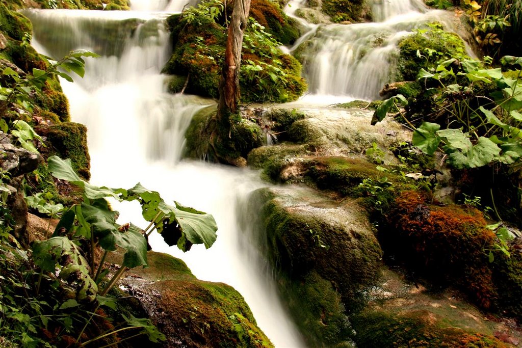 Plitvice by shai yochai