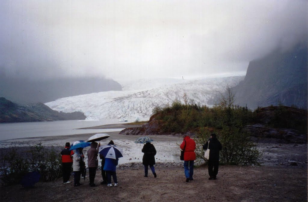 Mendenhall Glacier bei Juneau (Alaska) by 29091950