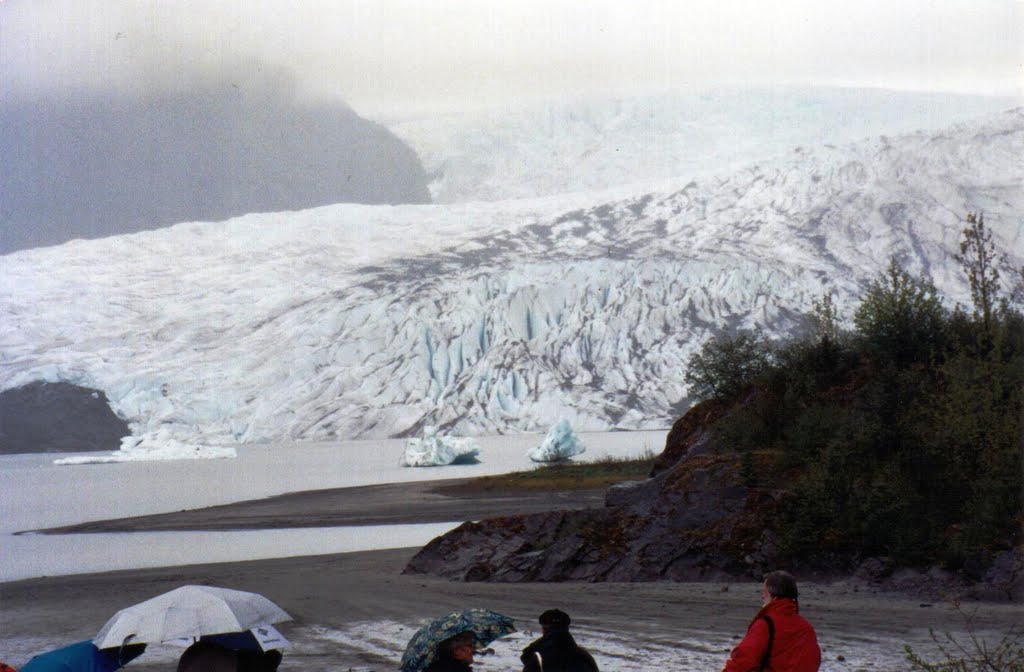 Mendenhall Glacier bei Juneau (Alaska) by 29091950