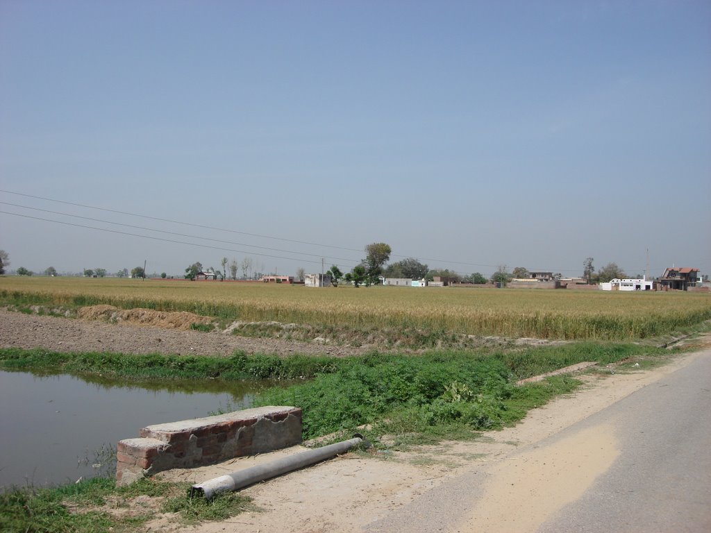 Ludhiana, Punjab, India by amarpal sidhu