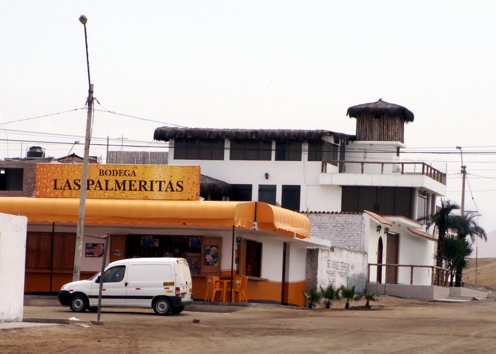 Las Palmeritas Bodega by de jaxsun