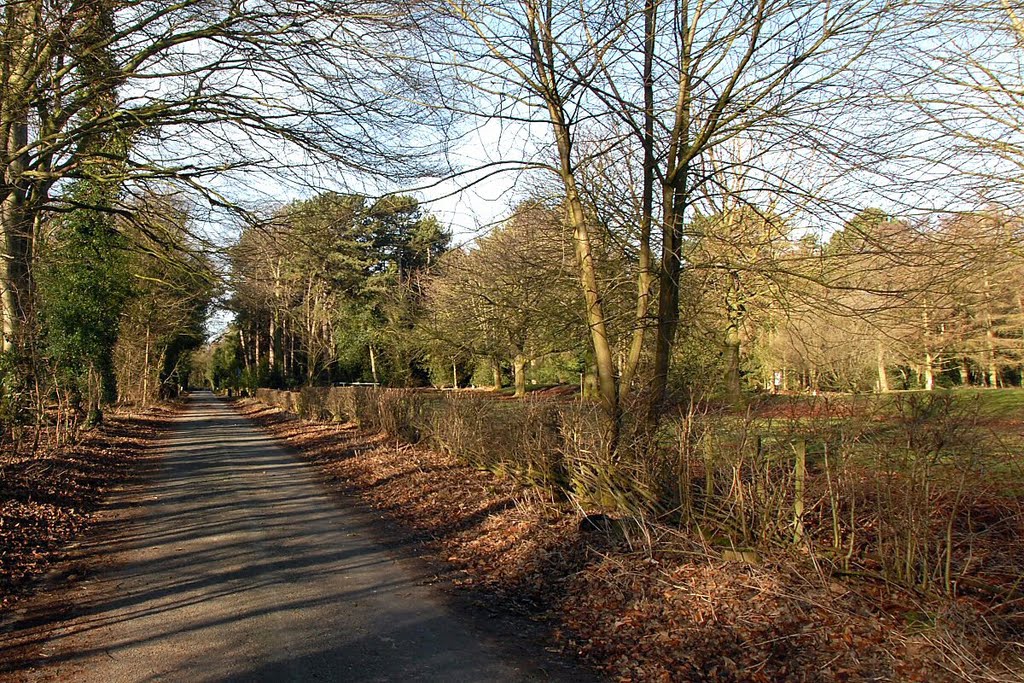 Marbury Lane NW by David Humphreys