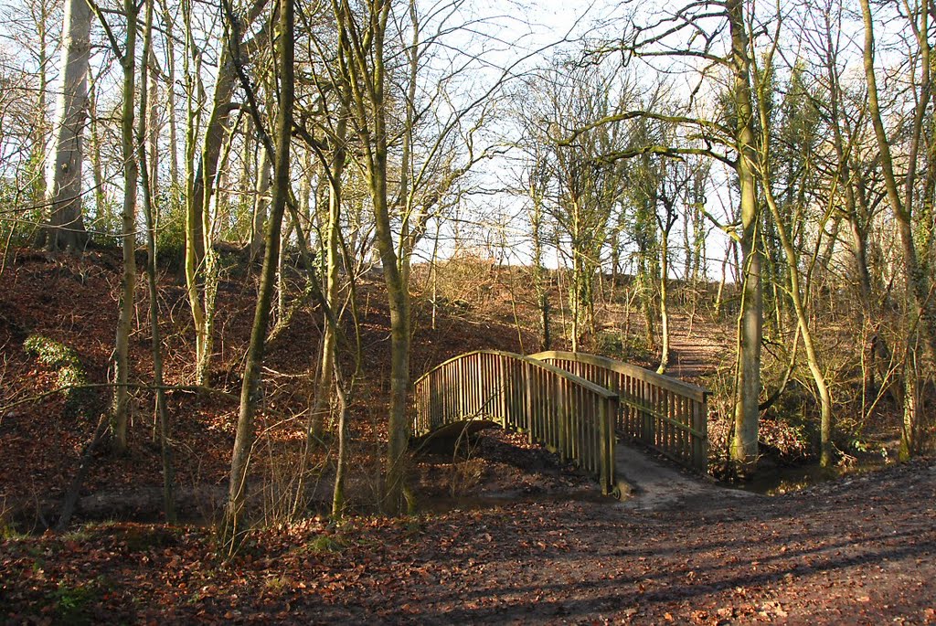 Footbridge 2 by David Humphreys