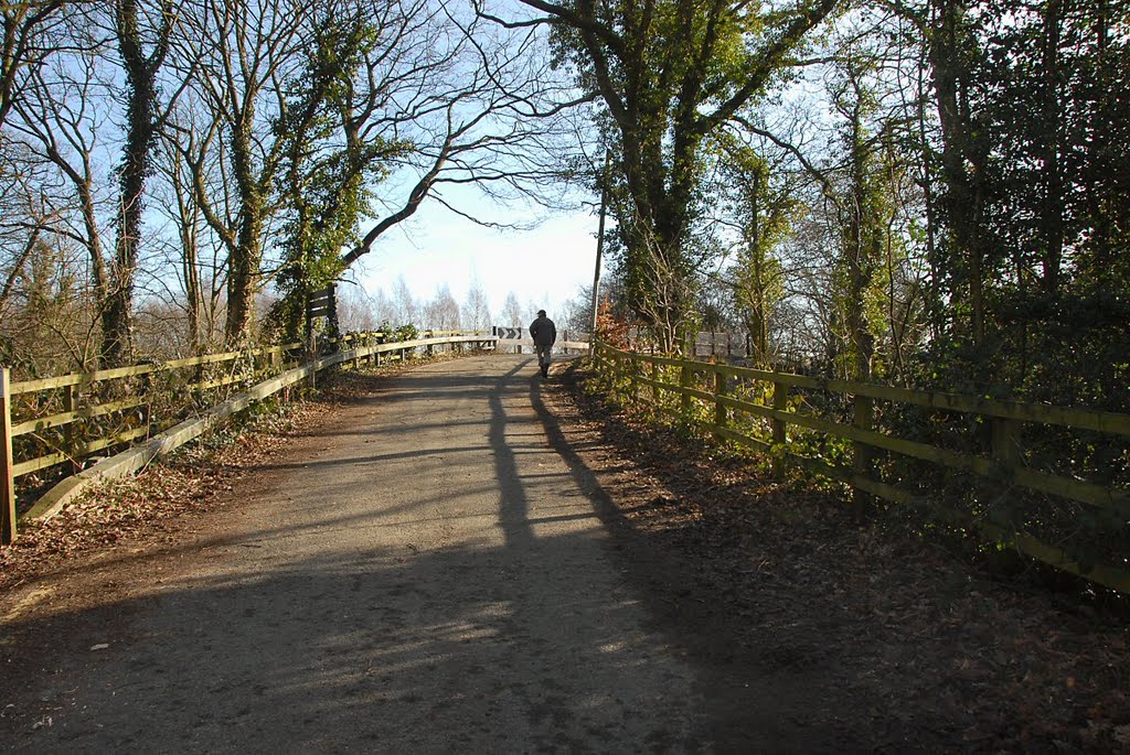 To the bridge by David Humphreys