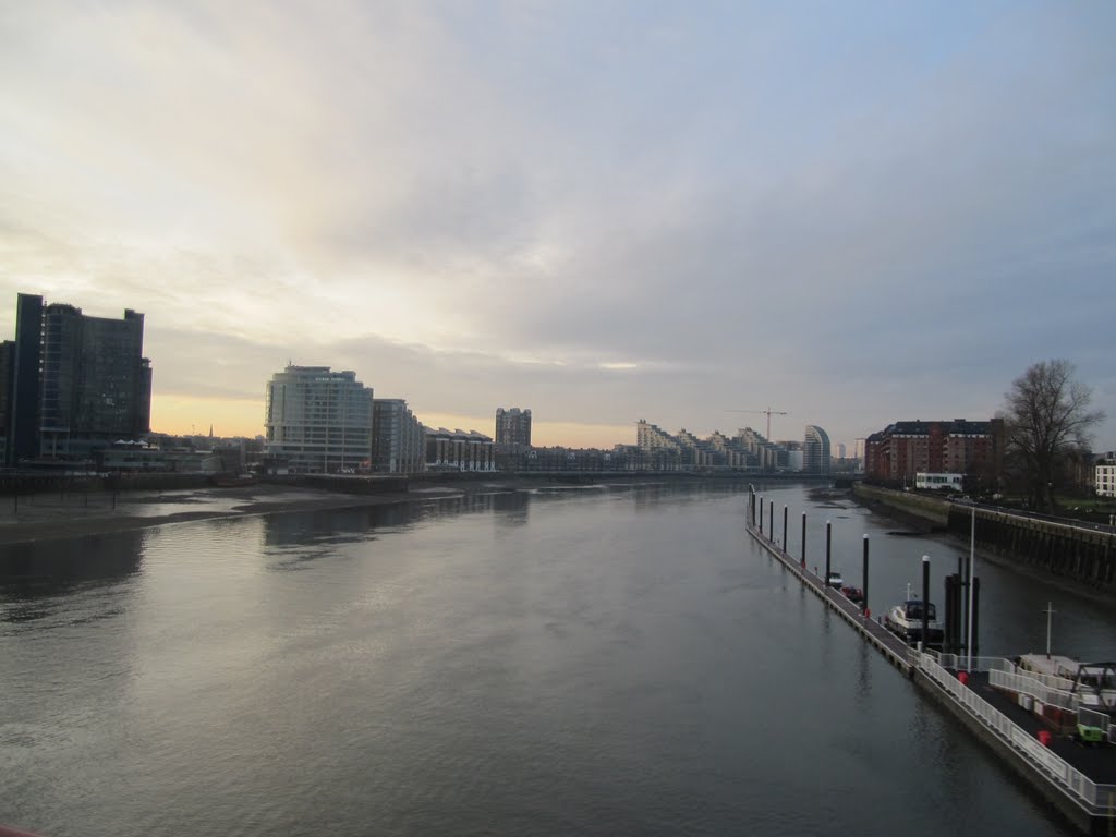 A view from Battersea Rail Bridge, Jan 2011 by mnb22