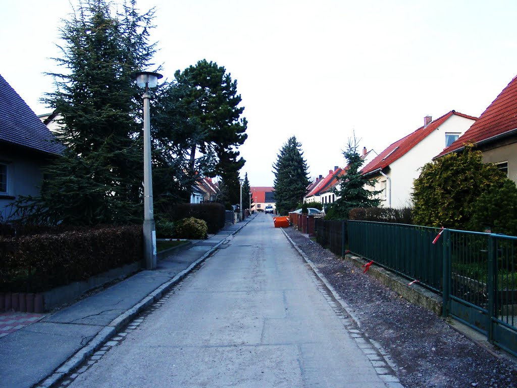 Damaschkestraße, Halle (Saale), Germany by Jörg Hofmann