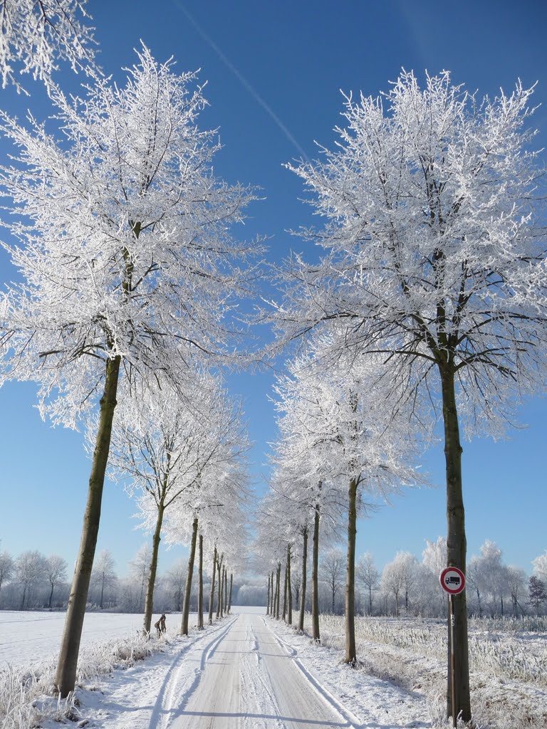 Bösensell - Roxel Winterallee by Doc Dillen