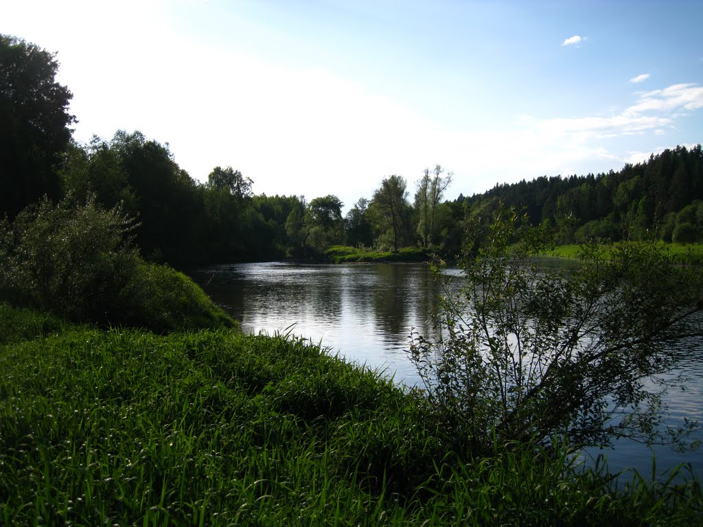 Ruzsky District, Moscow Oblast, Russia by Caeryu