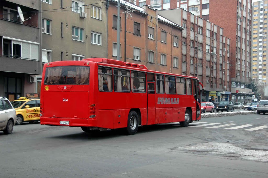 Autobus Nišexpresa by Teča sa Dunava