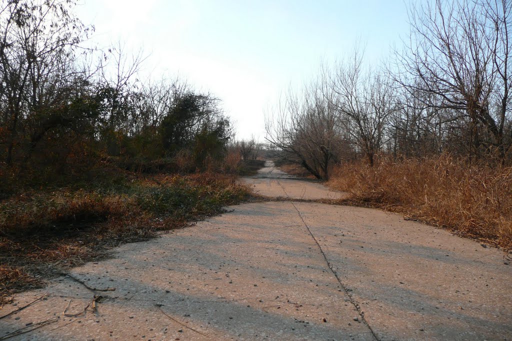 2011_01-29_Old Mannford Oklahoma_P1140550_Old Hwy 48 Looking North by lightbenders