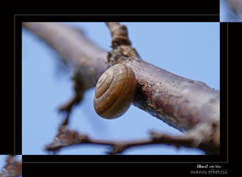 Piskokefalo 723 00, Greece by Manos Efhetzis