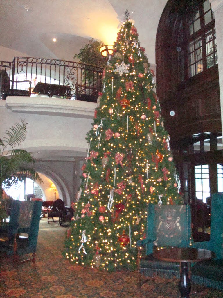 Beautiful Christmas Tree at the Hotel by CLozinski