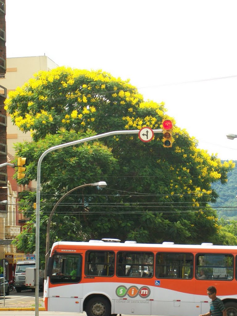 Beleza que não paramos para olhar! by Marco Ullmann