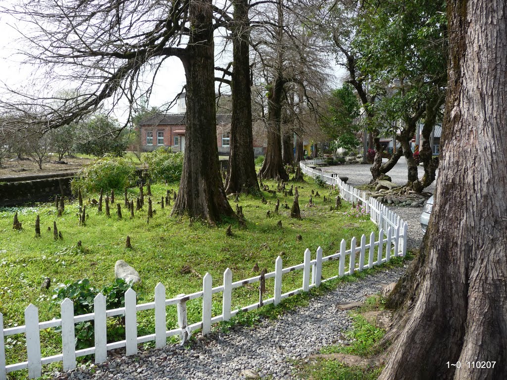 陳氏家園 ~ 松園 - 宜蘭市 進士里 by 蔬食 忍辱  禪定