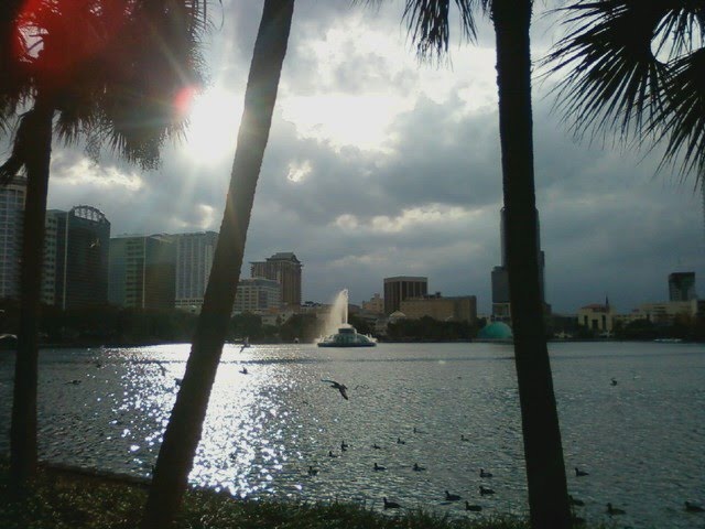 Sunset over Lake Eola by reactor07