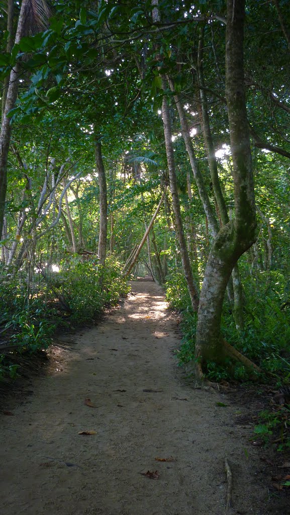 Senderos en el PN Cahuita by CRvisor