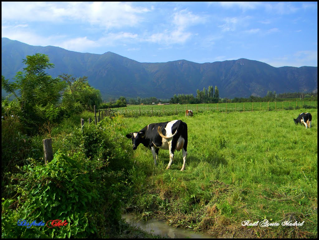 ▶ Paisaje natural ® by ►DisfrutaChile ®