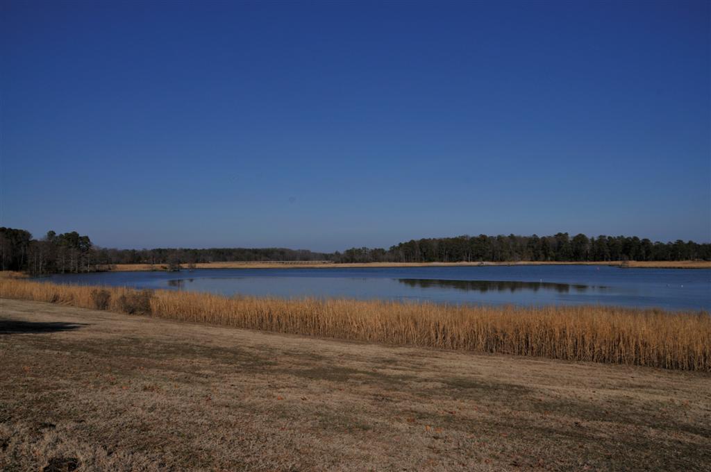 Jamestown, VA by F Rim