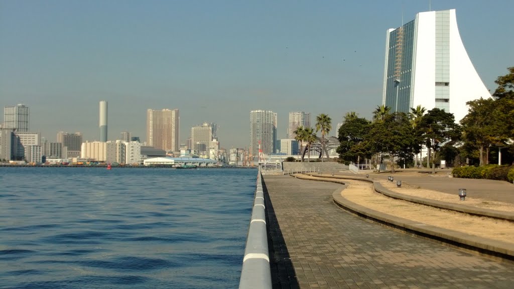 Tokyo from Odaiba by Al Montin