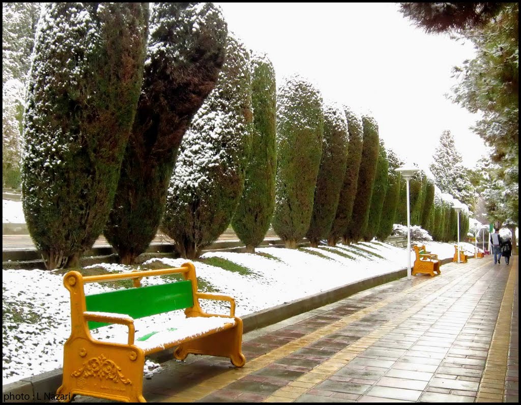 Couple walking by L Nazari