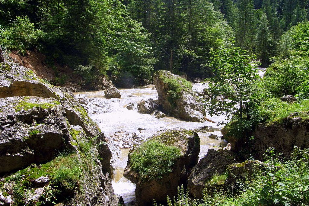 Gheorgheni, Romania by Gyula Köböl