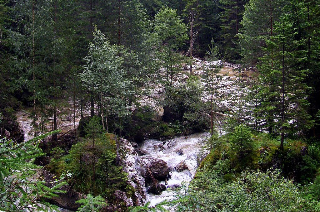 Gheorgheni, Romania by Gyula Köböl