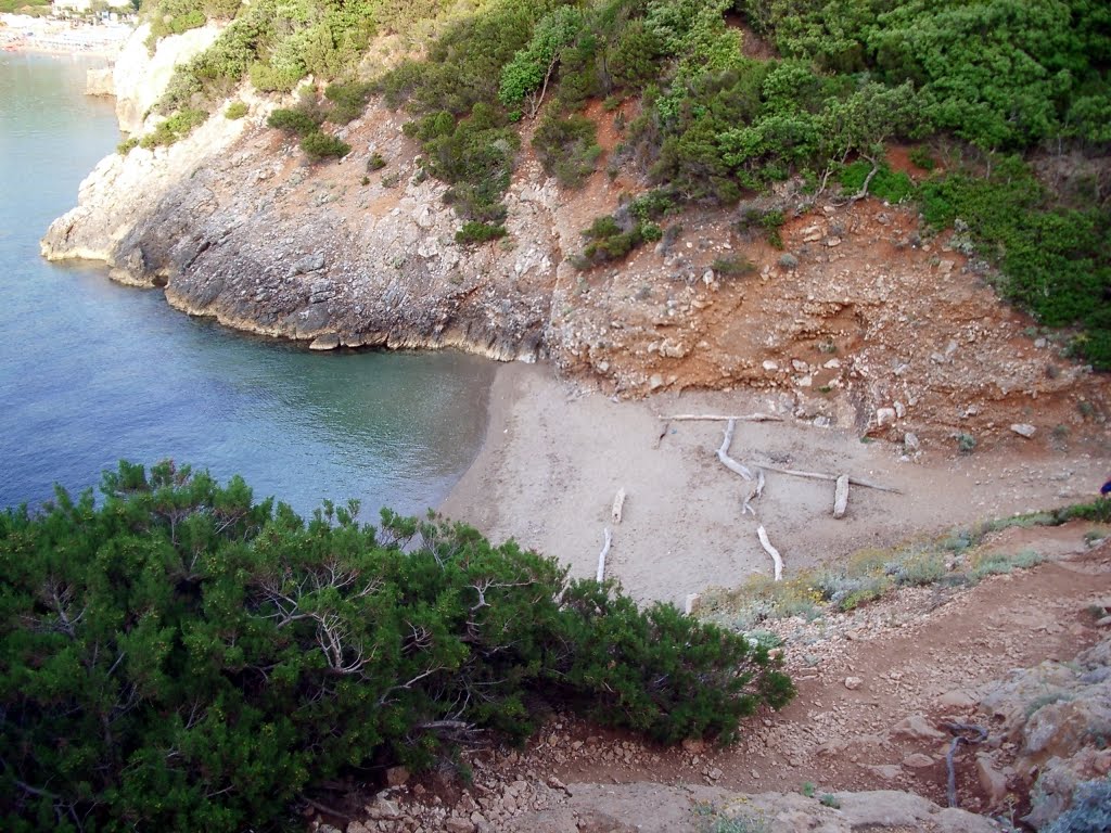 Giglio Campese by Massimo Mucci