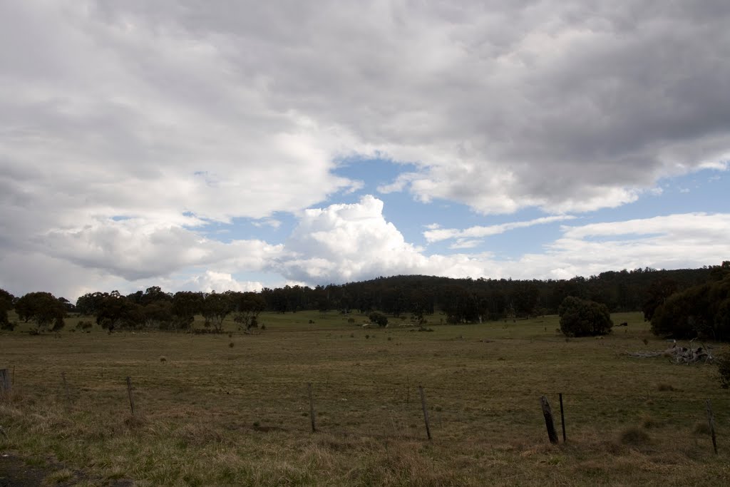 Near Adaminaby by Maksym Kozlenko