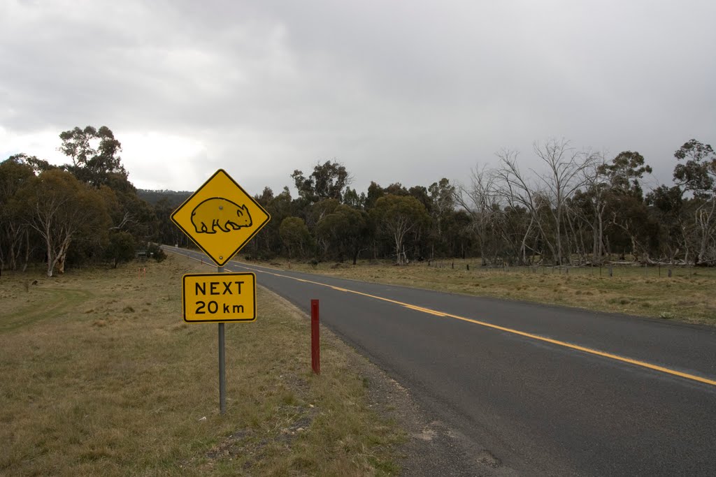 Near Adaminaby by Maksym Kozlenko