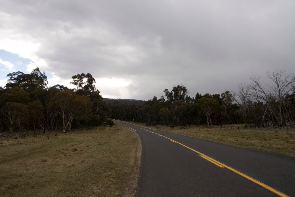 Near Adaminaby by Maksym Kozlenko