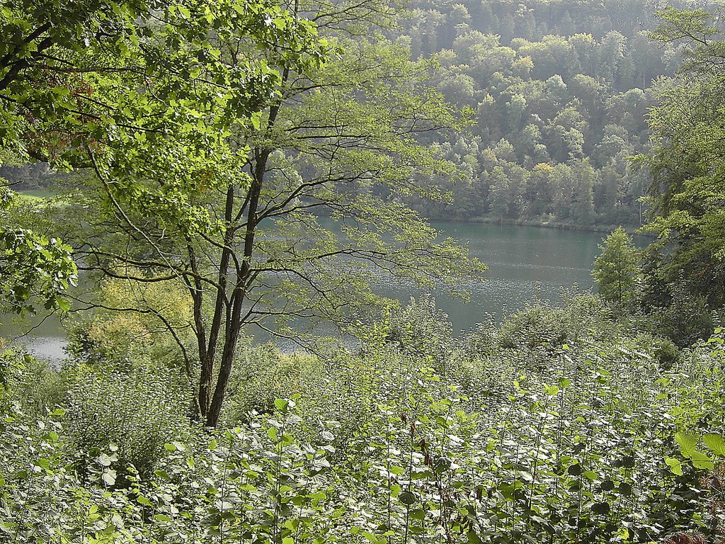 GemündenerMaar,Vulkaneifel by wolf-vielbach