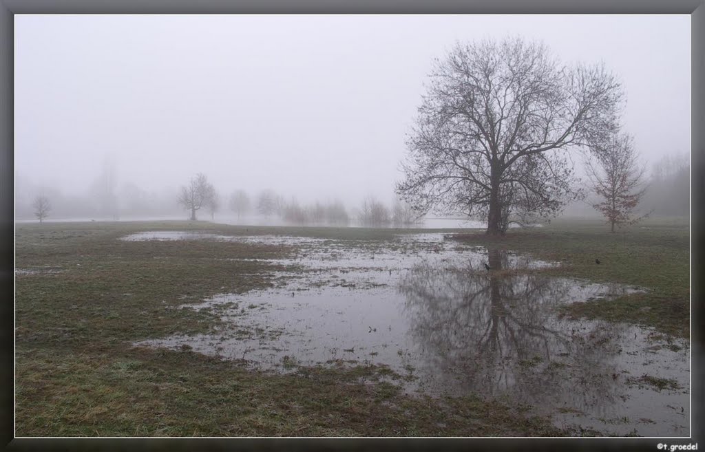 Hochwasser in der Saaleaue im Januar2011 by ThorstenGroedel