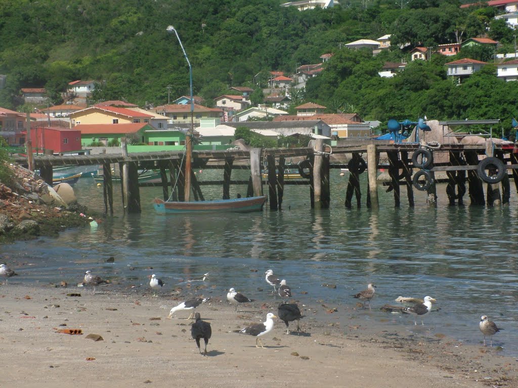 Puerto de pescadores en Ganchos (Gov. Celso Ramos) by ojocitrico