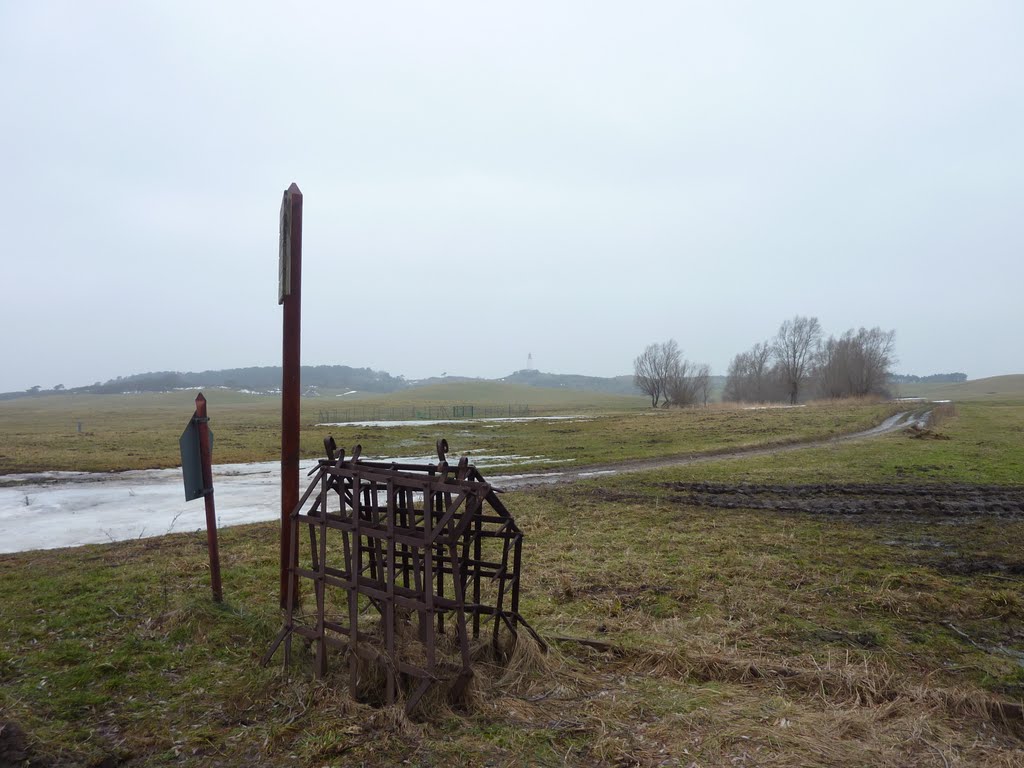 Hiddensee im Winter: Wiesen bei Grieben by Panzerknacker