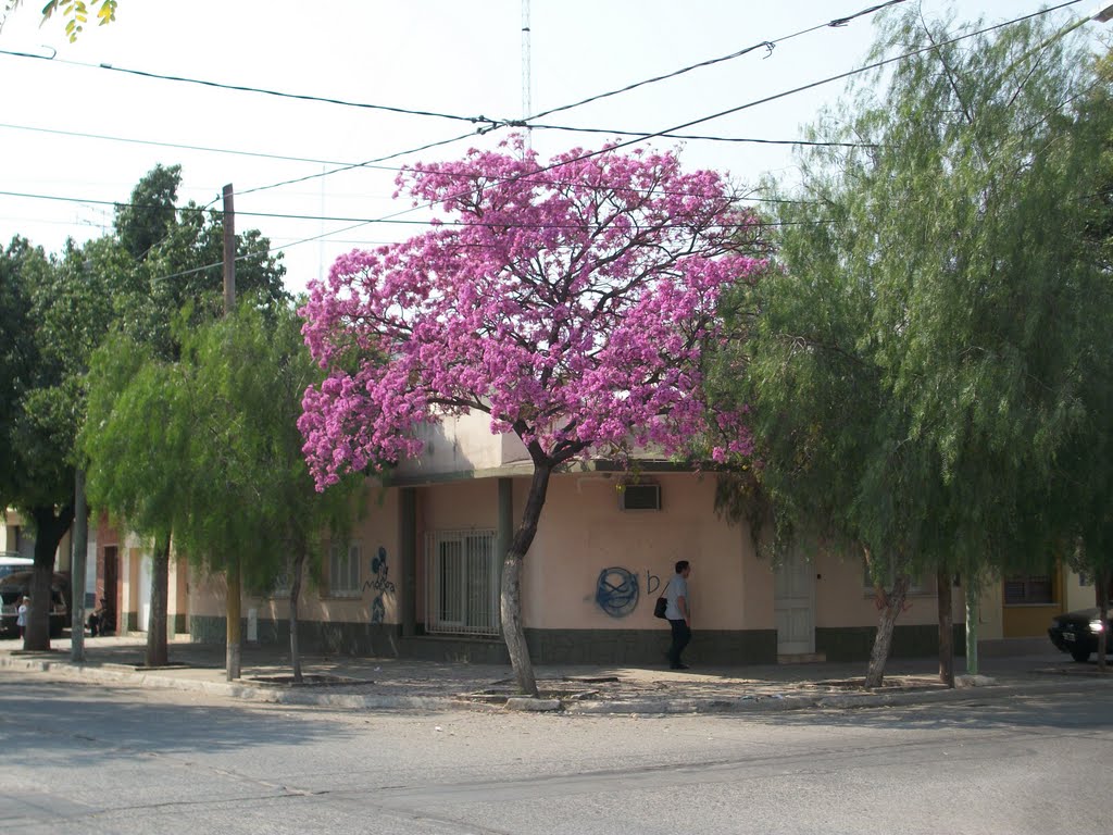 La Banda, Santiago del Estero by La Banda Diario