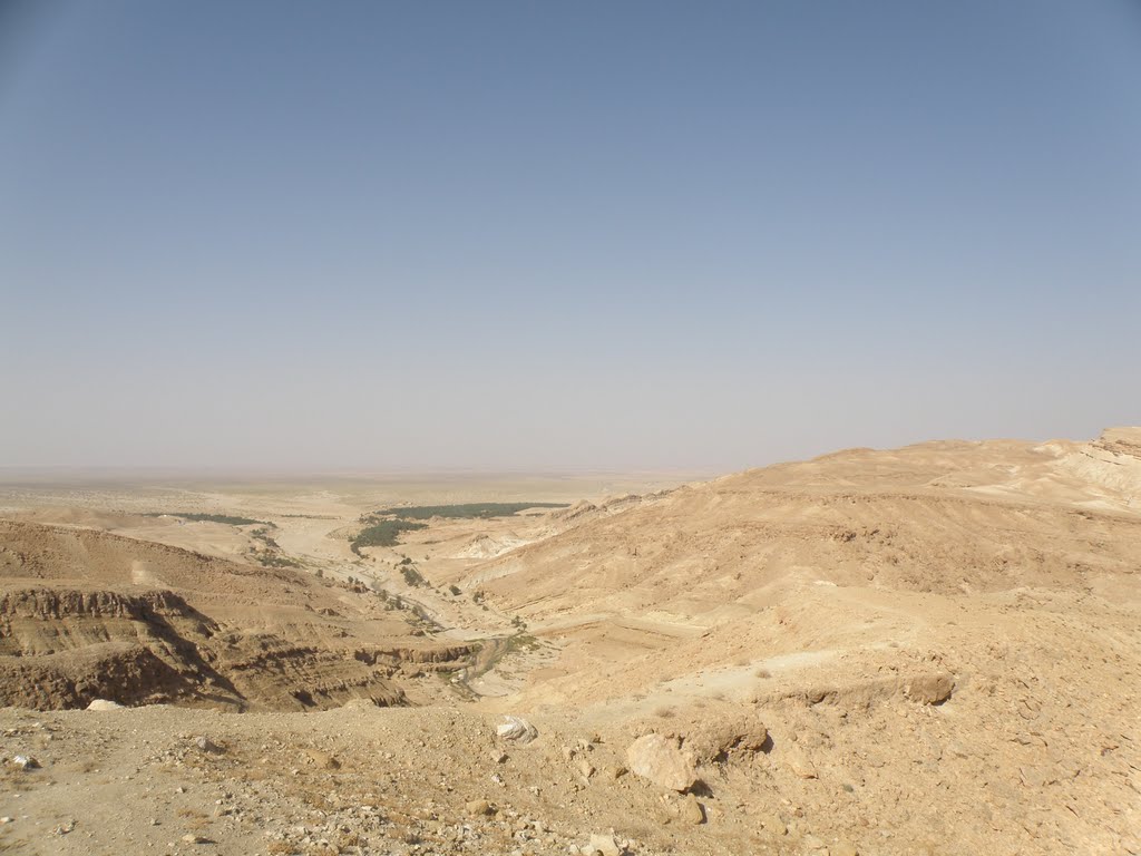 Desert landscape / Pouštní krajina by DM brothers