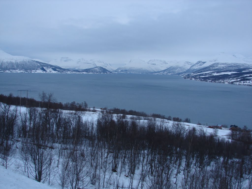 Balsfiord at winter by Albert Zwoliński