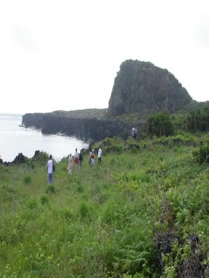 Castelete,freguesia da Piedade,concelho da Vila das Lajes ,ilha do Pico ,Acores ,lado norte da ilha . by Herbert Terra