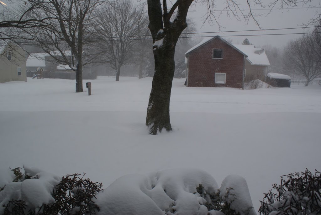 Blowing snow by Richard Baillargeon