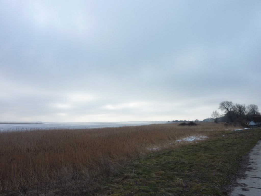 Winter auf Hiddensee: Am Bodden nahe Grieben by Panzerknacker